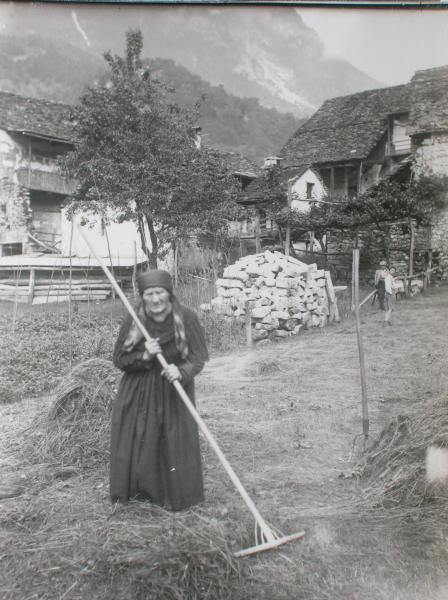 Donna con rastrello alla raccolta del fieno